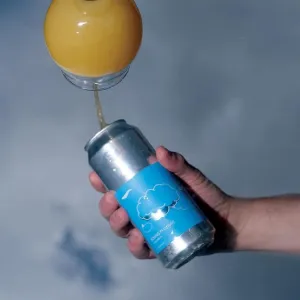 Finback Rolling in Clouds Can 473ml　フィンバック ローリング イン クラウズ　※お一人様２本まで、その他の商品と合わせて合計で4本以上のご購入をお願い致します