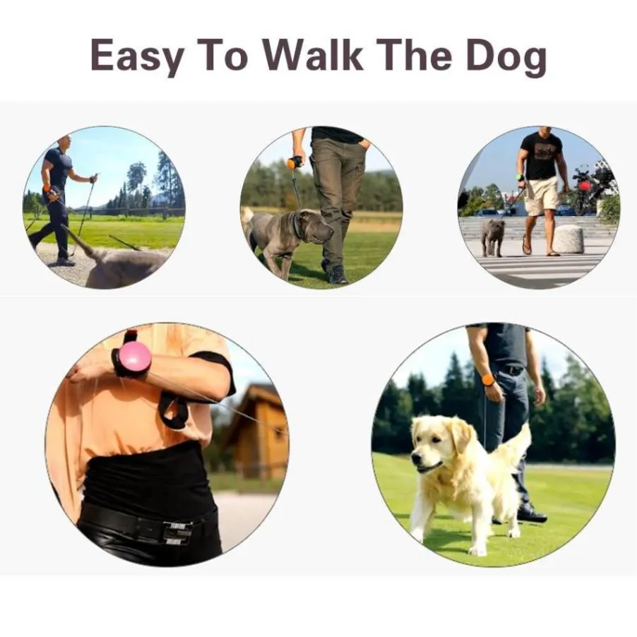 Run Free: Hands-Free Dog Running Leash for Small & Medium Dogs!